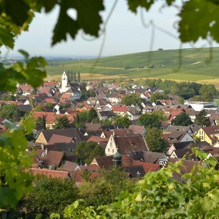 Ferienwohnung Schneckental Pfaffenweiler Exterior foto